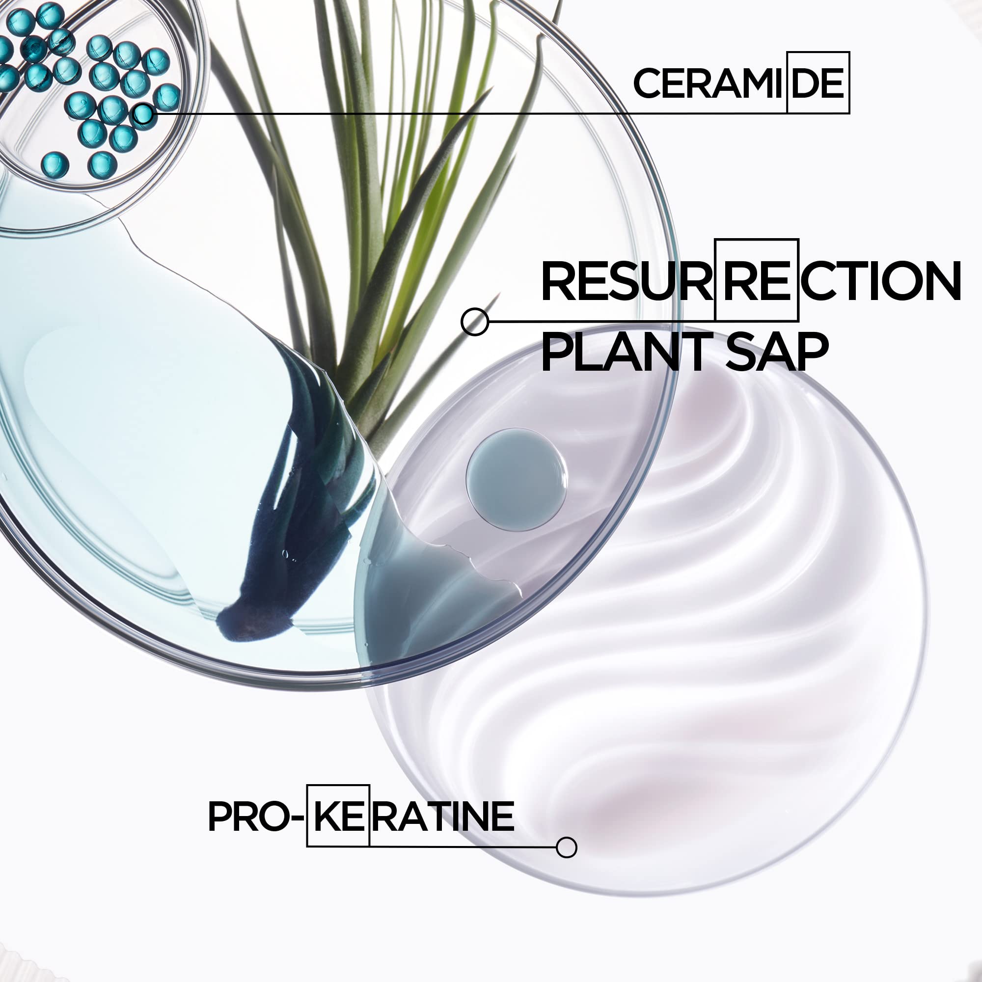 Foto 7 | Champú Kerastase Resistance Force Architecte Reconstructive - Venta Internacional.