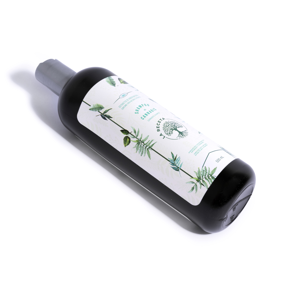Foto 2 | Shampoo De Argán Para Cabello Seco La Receta 500 Ml