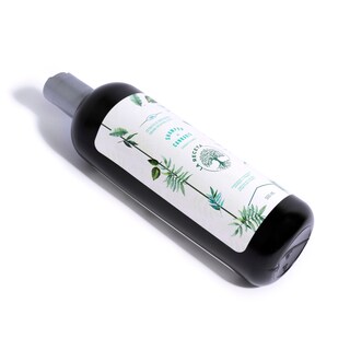 Foto 2 | Shampoo De Argán Para Cabello Seco La Receta 500 Ml