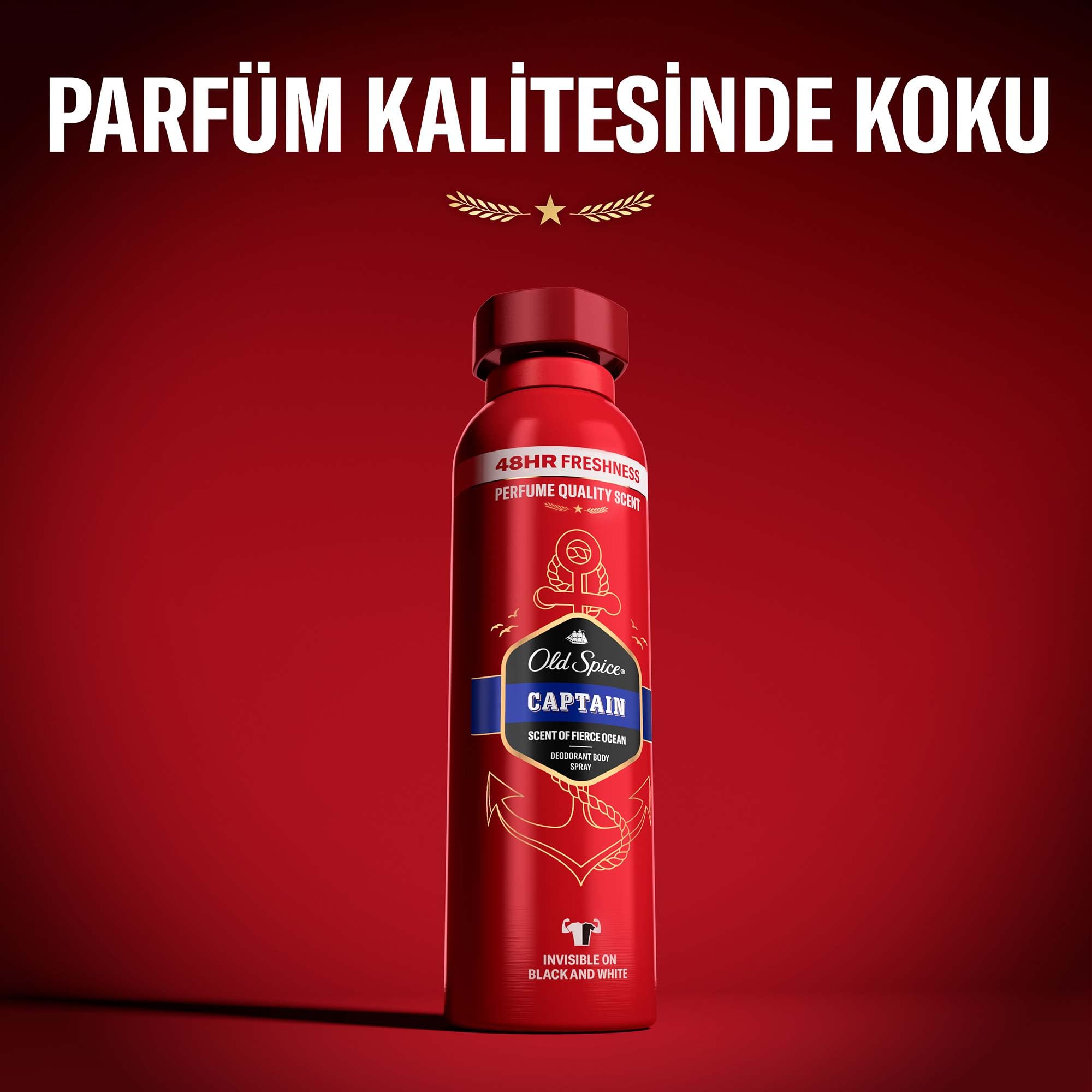 Foto 6 pulgar | Desodorante En Aerosol Old Spice Captain, 175 Ml, Paquete De 6 - Venta Internacional.