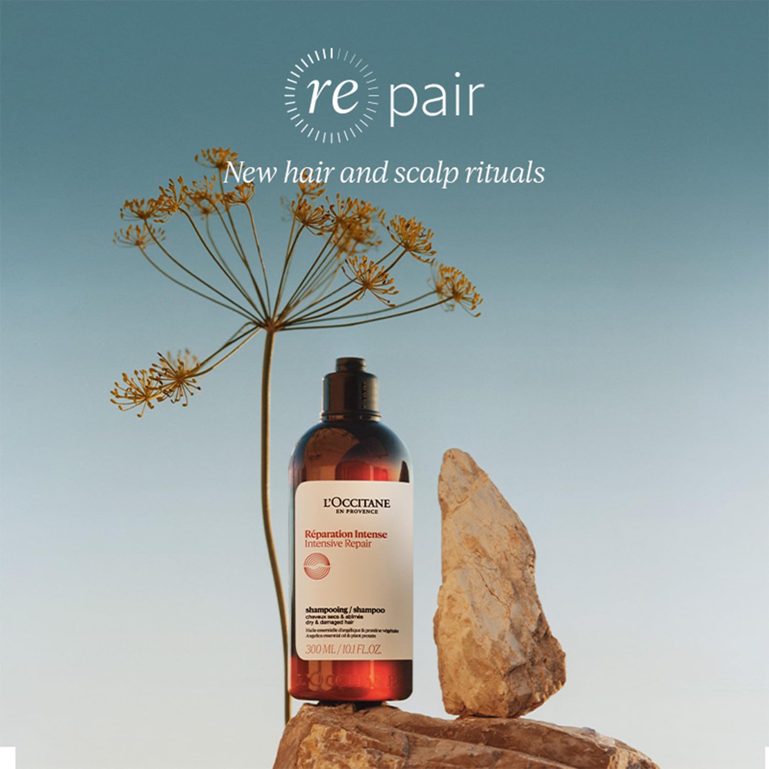 Foto 3 pulgar | Champú L'occitane Aromachologie Reparador De 300 Ml Para Cabello Seco - Venta Internacional.