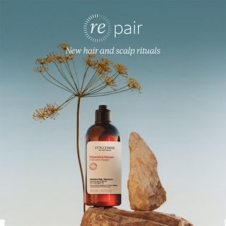 Foto 2 | Champú L'occitane Aromachologie Reparador De 300 Ml Para Cabello Seco - Venta Internacional.