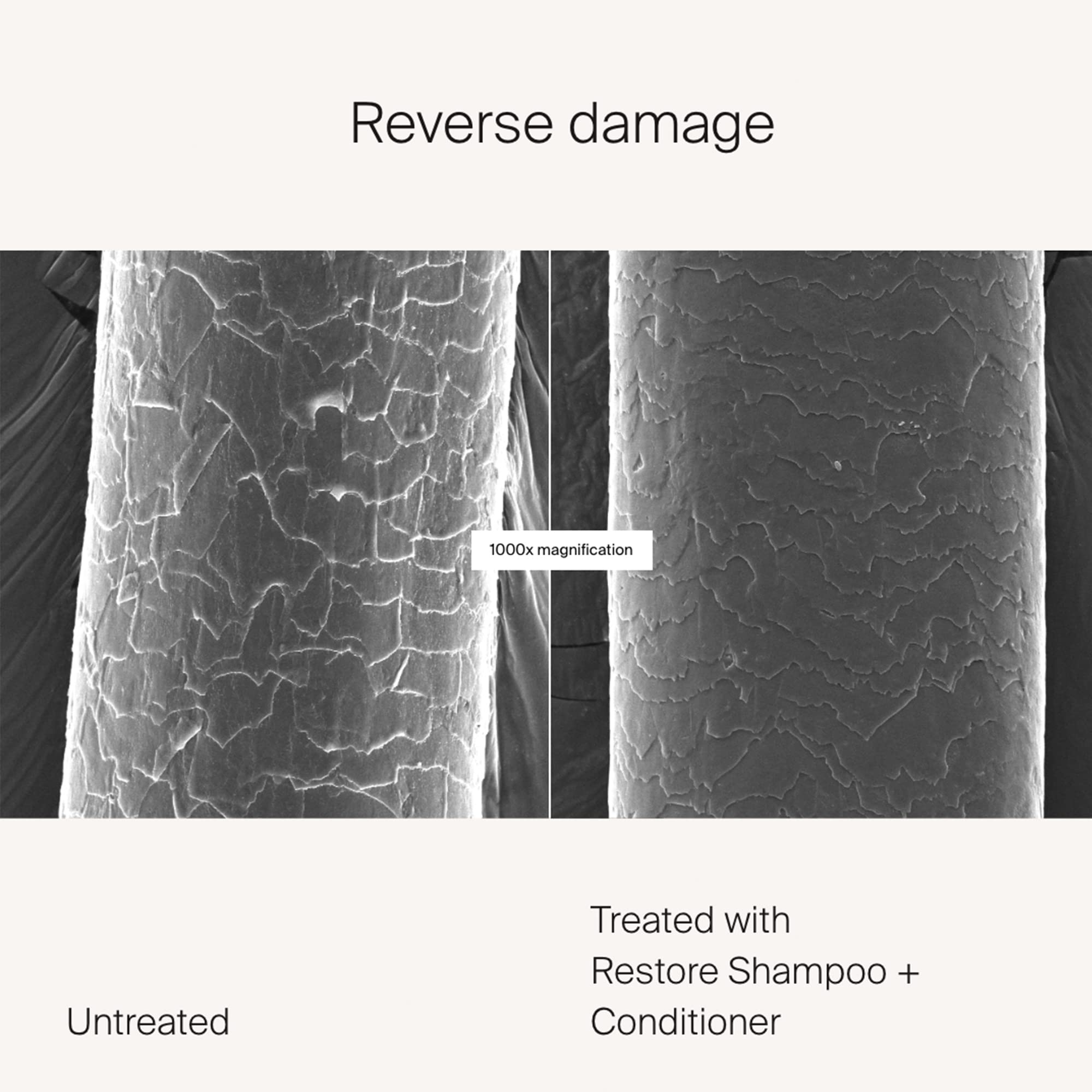 Foto 4 pulgar | Champú Living Proof Restore 240 Ml - Venta Internacional.