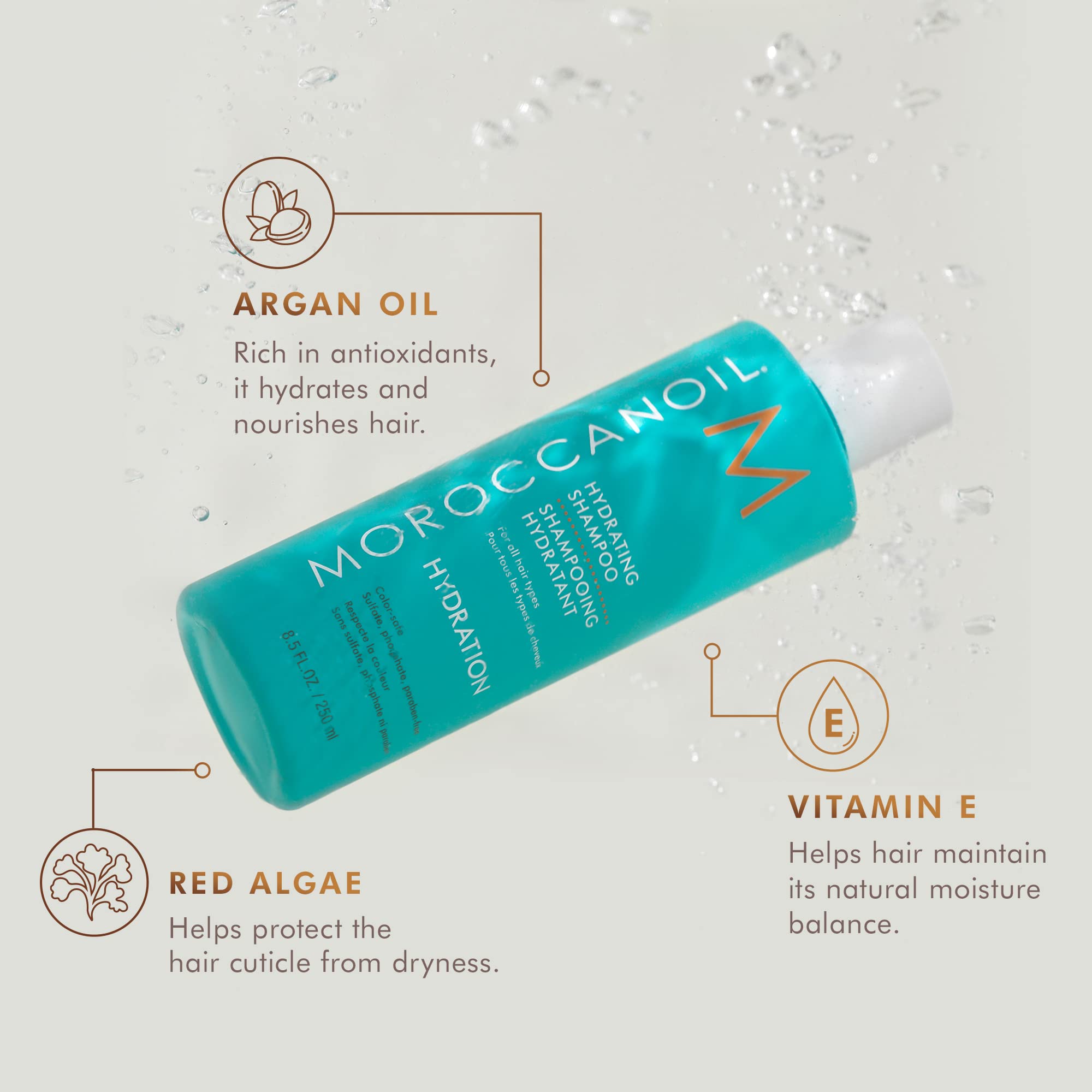 Foto 3 pulgar | Champú Moroccanoil Hidratante 250 Ml Para Cabello Normal A Seco - Venta Internacional.