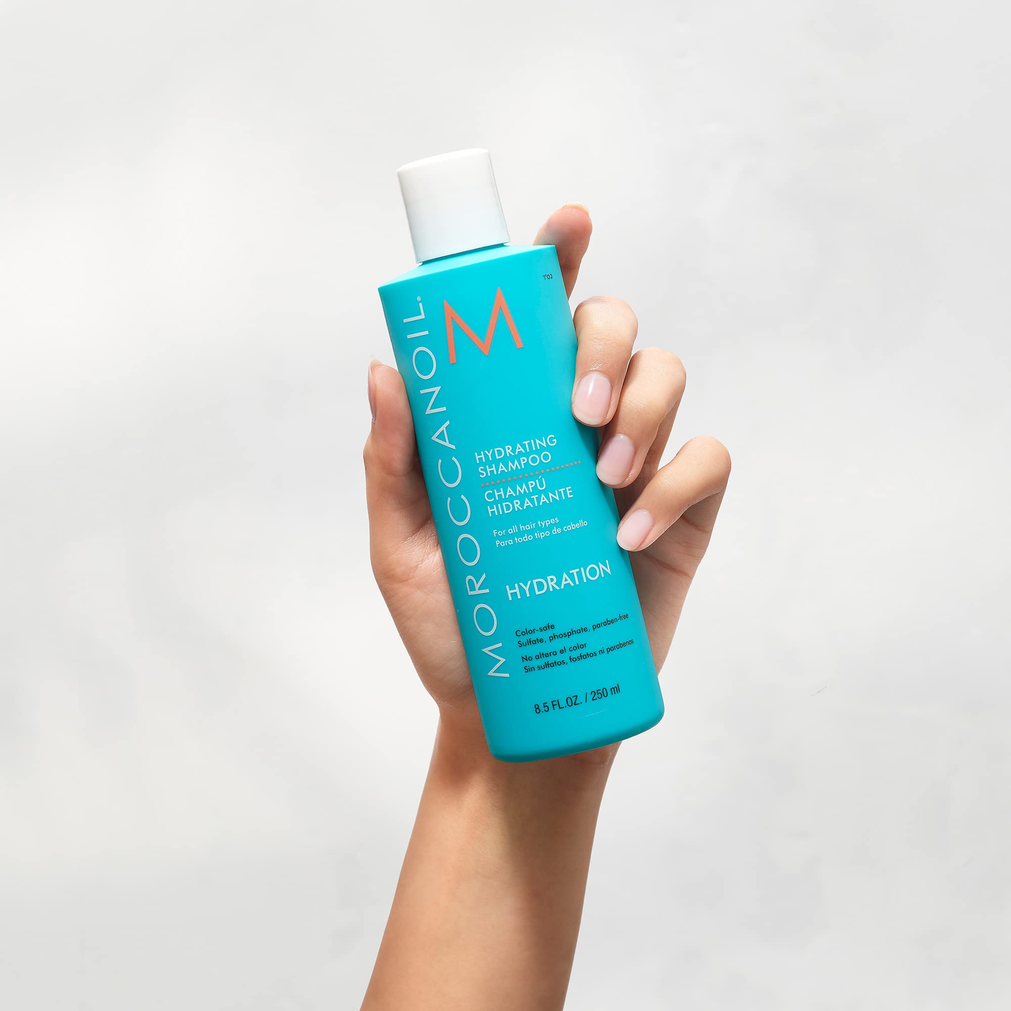 Foto 6 pulgar | Champú Moroccanoil Hidratante 250 Ml Para Cabello Normal A Seco - Venta Internacional.