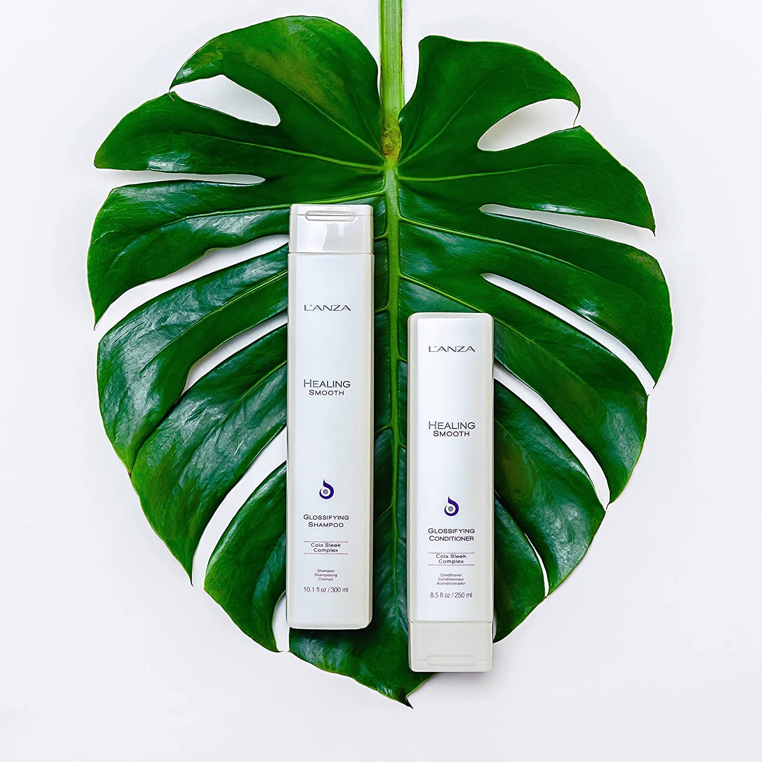 Foto 6 pulgar | Shampoo L'anza Healing Moisture Tamanu Cream Para Cabello Seco - Venta Internacional.