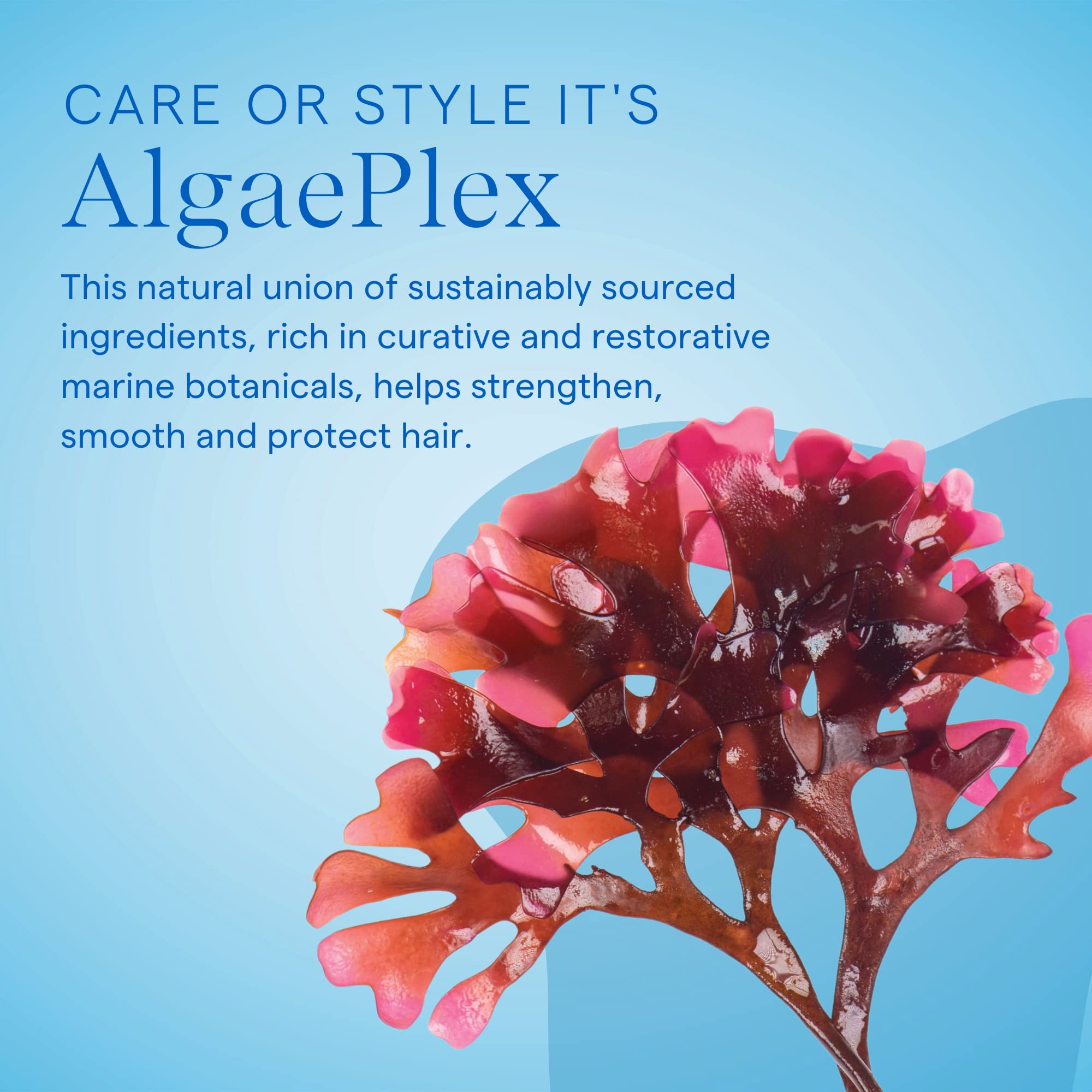 Foto 5 pulgar | Champú Aquage Seaextend Silkening Para Cabello Áspero Y Rizado - Venta Internacional.