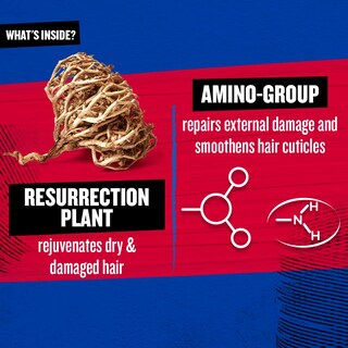 Foto 5 | Champú Tigi Bed Head Resurrection Repair Para Cabello Dañado - Venta Internacional.