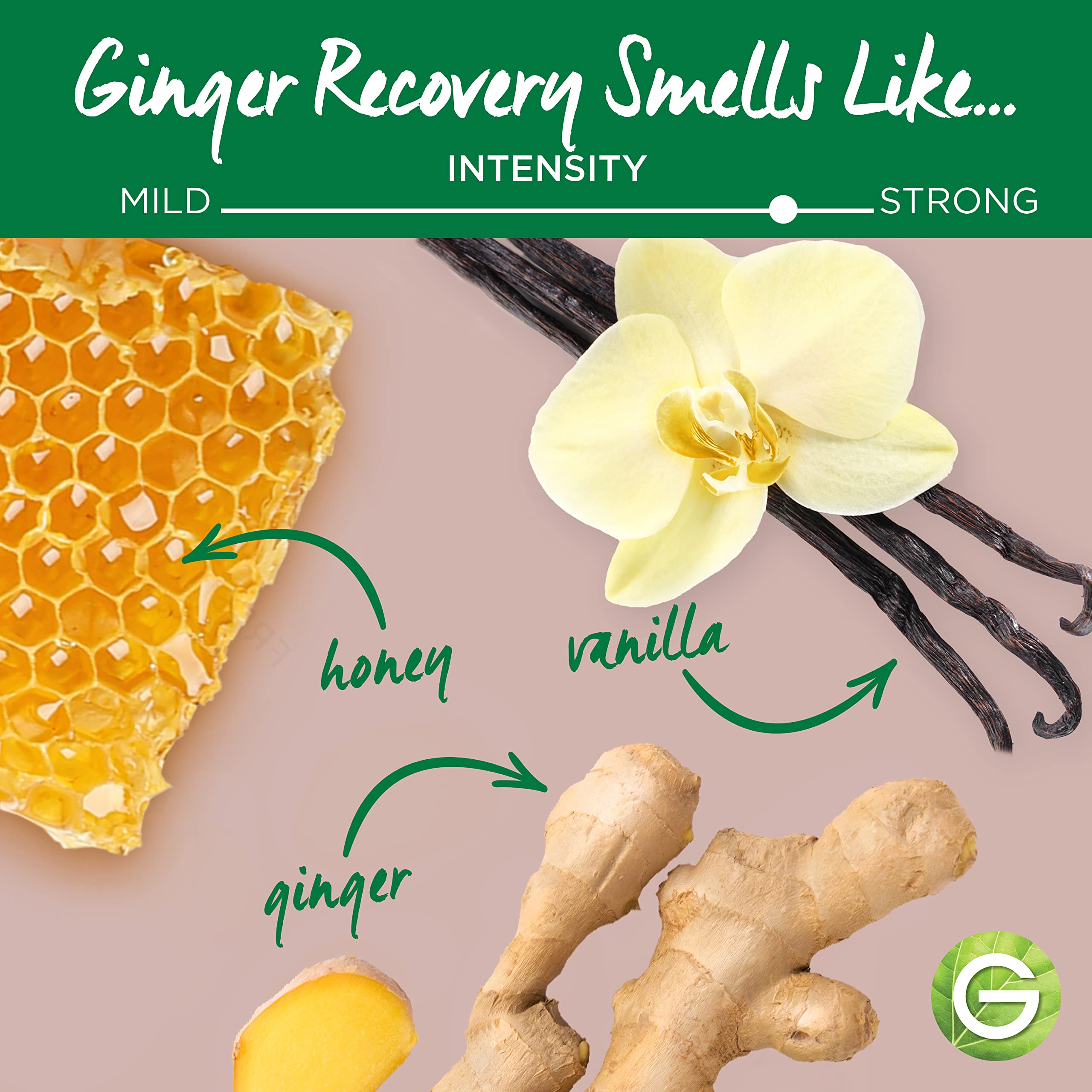 Foto 6 pulgar | Champú En Barra Garnier Whole Blends Ginger Recovery 60 Ml - Venta Internacional.