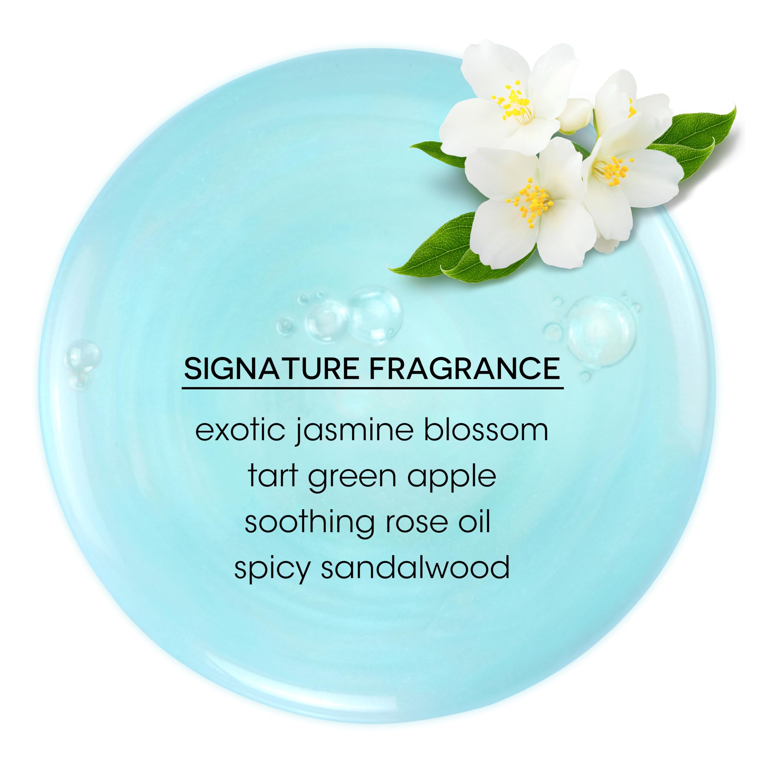 Foto 7 pulgar | Champú Bain De Terre Jasmine Hidratante Para Cabello Seco, 400 Ml - Venta Internacional.