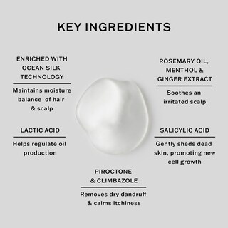 Foto 4 | Champú Sachajuan Scalp 250 Ml Con Tecnología Ocean Silk - Venta Internacional.
