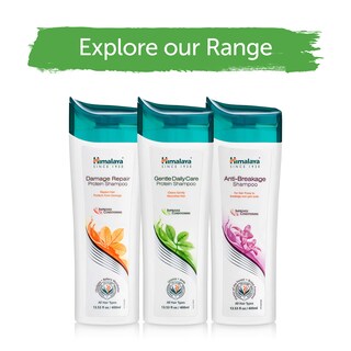 Foto 4 | Champú Himalaya Gentle Daily Care Protein, 400 Ml, Paquete De 2 - Venta Internacional.