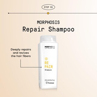 Foto 3 | Champú Framesi Morphosis Repair 250 Ml Que Hidrata El Cabello - Venta Internacional.