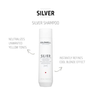 Foto 2 | Champú Goldwell Dualsenses Silver De 300 Ml Para Cabello Gris Y Rubio Fresco - Venta Internacional.