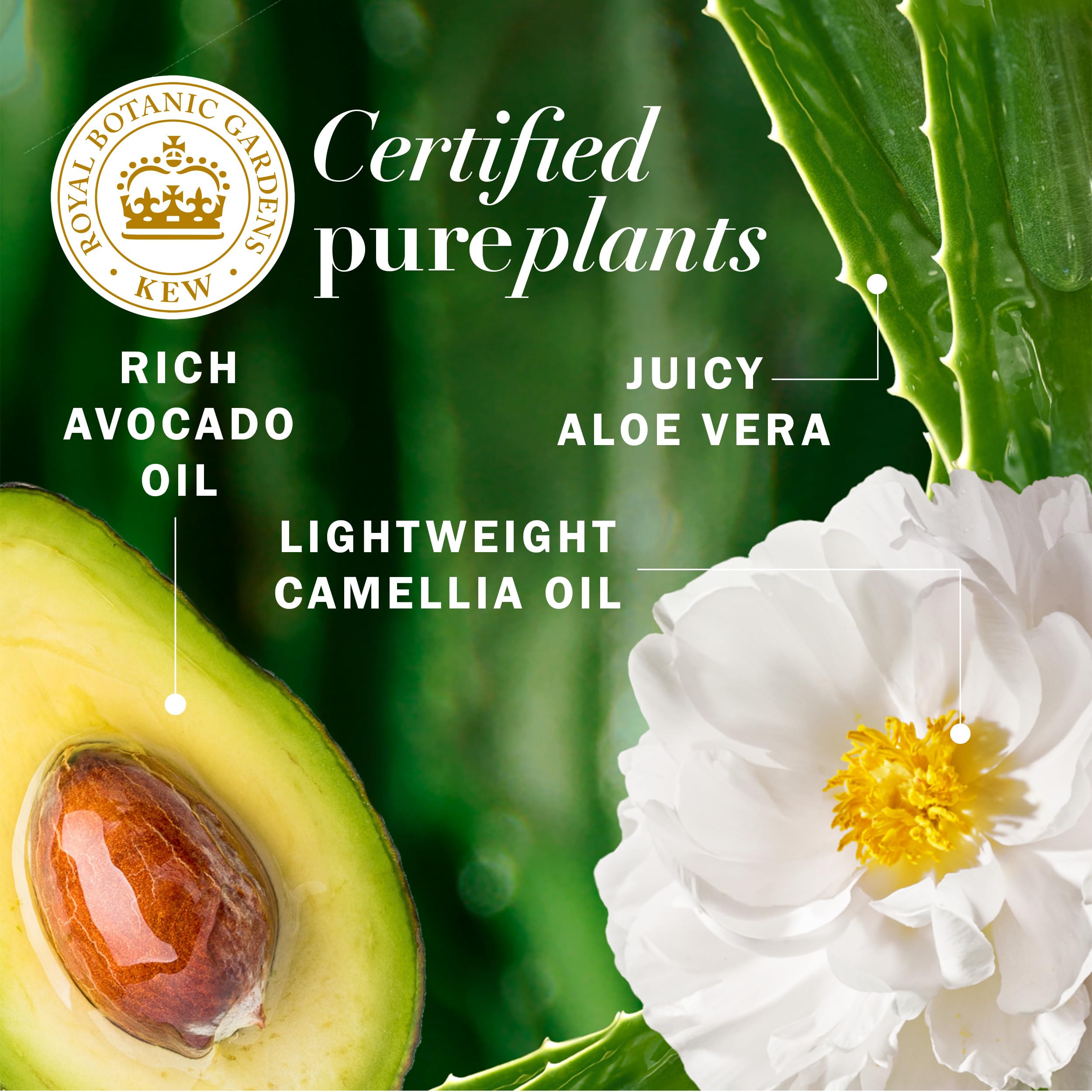 Foto 4 pulgar | Champú Herbal Essences Con Aceite De Aguacate Y Argán, 400 Ml, Sin Sulfatos - Venta Internacional.