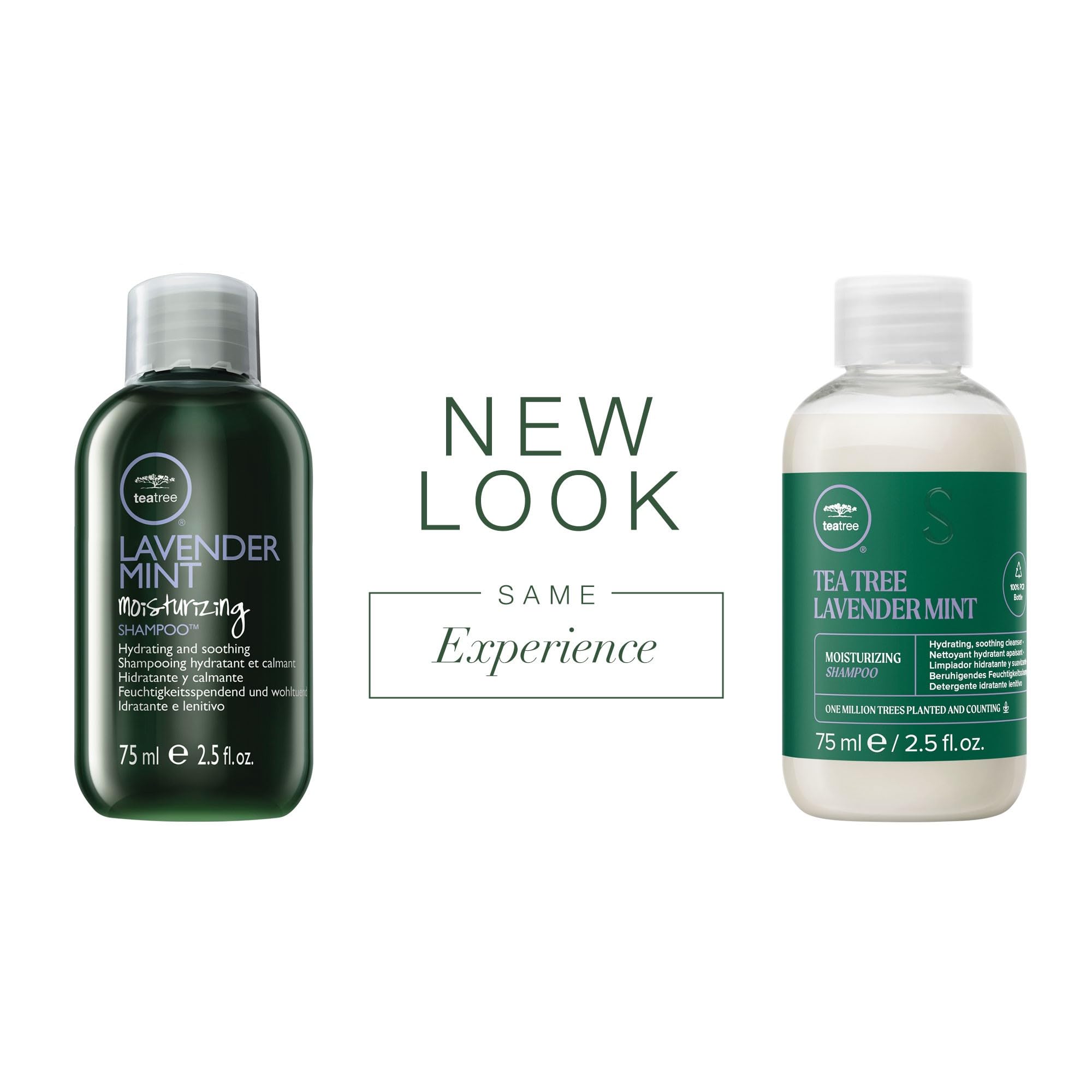 Foto 3 pulgar | Champú Hidratante Con Árbol De Té, Lavanda Y Menta, 75 Ml, Para Cabello Grueso Y Seco - Venta Internacional.