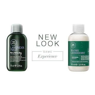 Foto 2 | Champú Hidratante Con Árbol De Té, Lavanda Y Menta, 75 Ml, Para Cabello Grueso Y Seco - Venta Internacional.