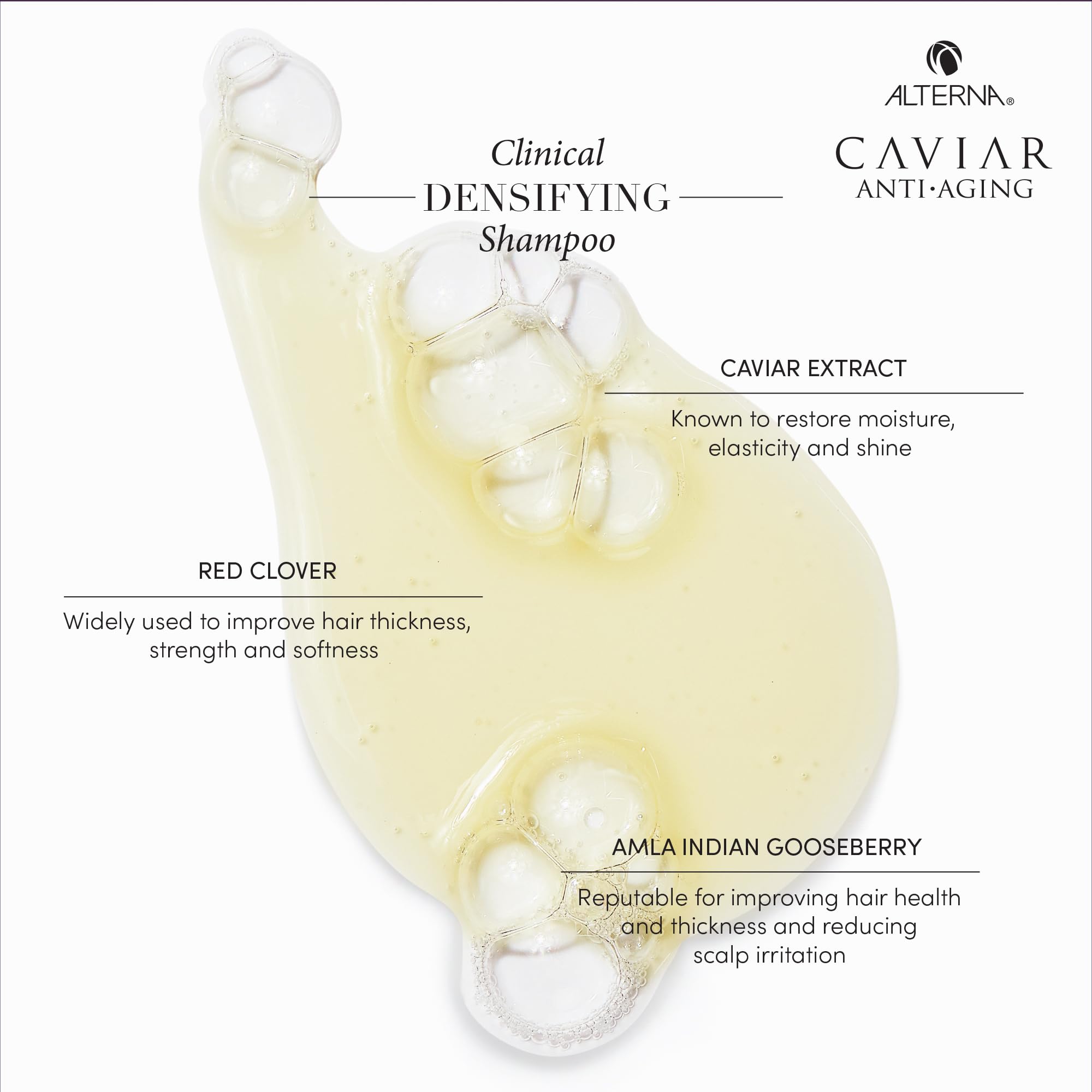 Foto 6 pulgar | Champú Alterna Caviar Antiedad Clínico Densificante 250 Ml - Venta Internacional.