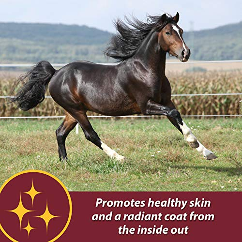 Foto 3 pulgar | Suplemento Farnam Laser Sheen Skin & Coat Para Caballos, 1,7 Kg - Venta Internacional.
