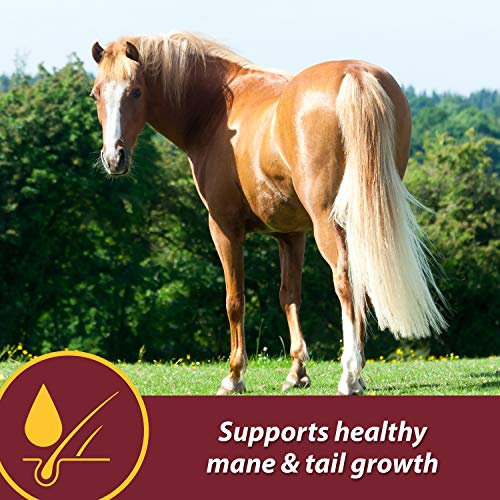 Foto 3 | Suplemento Farnam Laser Sheen Skin & Coat Para Caballos, 1,7 Kg - Venta Internacional.