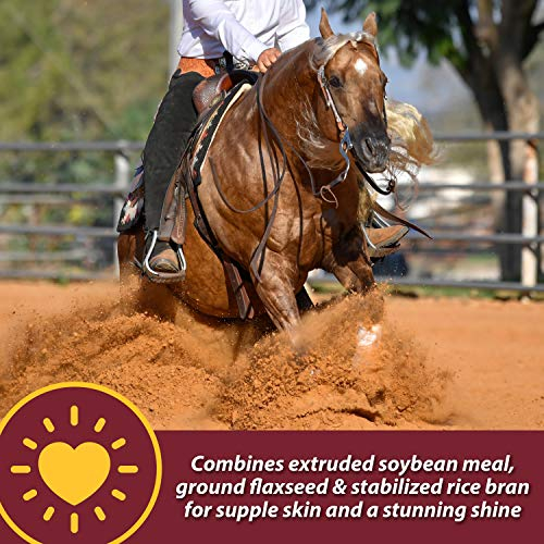 Foto 5 | Suplemento Farnam Laser Sheen Skin & Coat Para Caballos, 1,7 Kg - Venta Internacional.