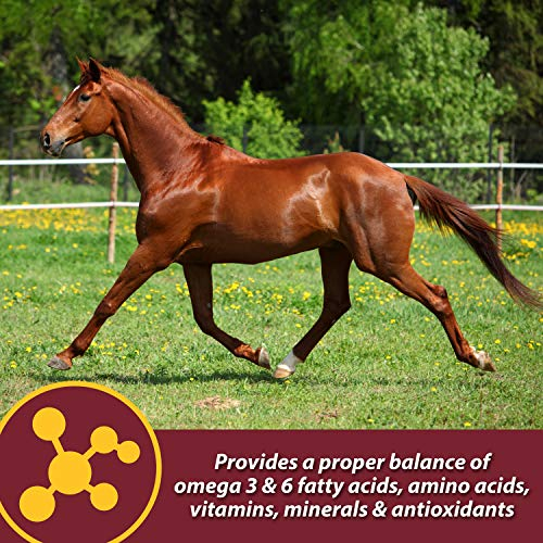 Foto 7 pulgar | Suplemento Farnam Laser Sheen Skin & Coat Para Caballos, 1,7 Kg - Venta Internacional.