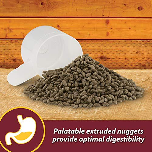 Foto 8 pulgar | Suplemento Farnam Laser Sheen Skin & Coat Para Caballos, 1,7 Kg - Venta Internacional.