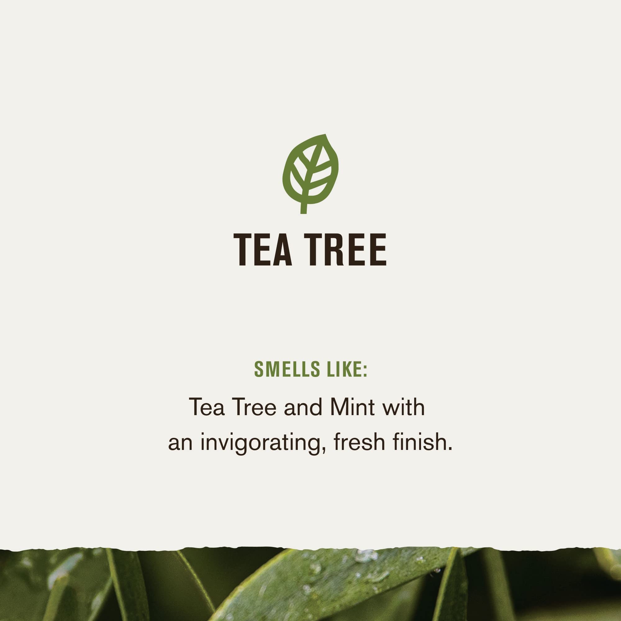 Foto 3 | Champú Y Acondicionador Every Man Jack Tea Tree + Cedar 700 Ml - Venta Internacional.