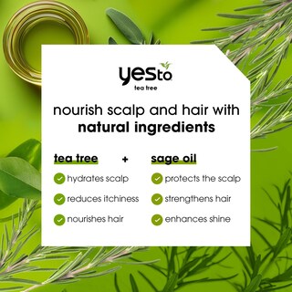 Foto 2 | Acondicionador Yes To Tea Tree Scalp Relief 360 Ml (paquete De 2) - Venta Internacional.
