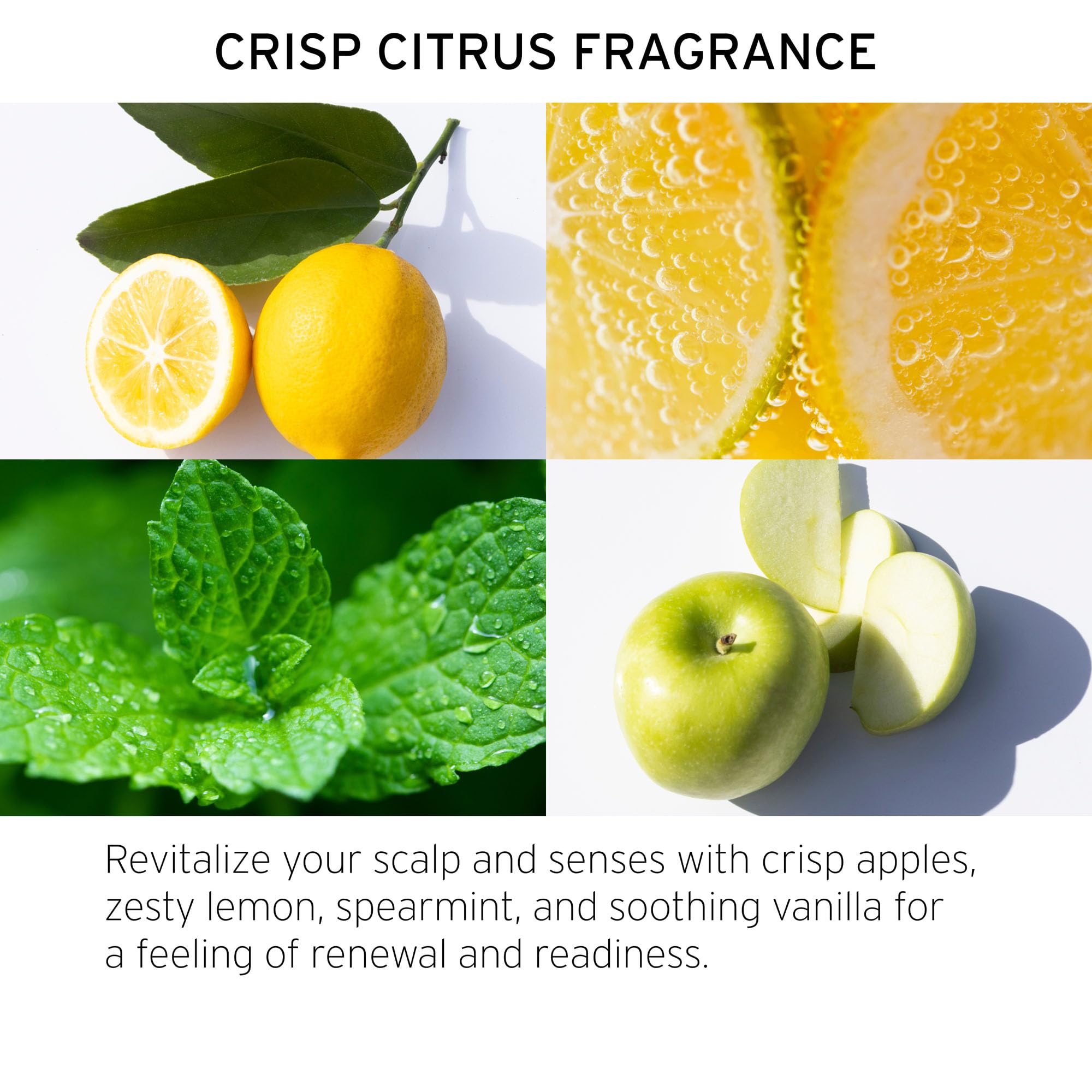 Foto 4 | Exfoliante Desintoxicante Desintoxicante Con Sidra De Manzana Fekkai Para Tratamiento Del Cuero Cabelludo - Vent