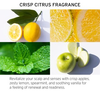 Foto 4 | Exfoliante Desintoxicante Desintoxicante Con Sidra De Manzana Fekkai Para Tratamiento Del Cuero Cabelludo - Vent