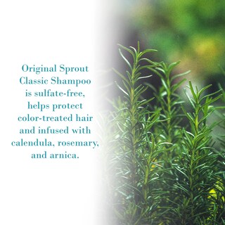 Foto 3 | Champú Original Sprout Classic Para Todo Tipo De Cabello, 355 Ml - Venta Internacional.