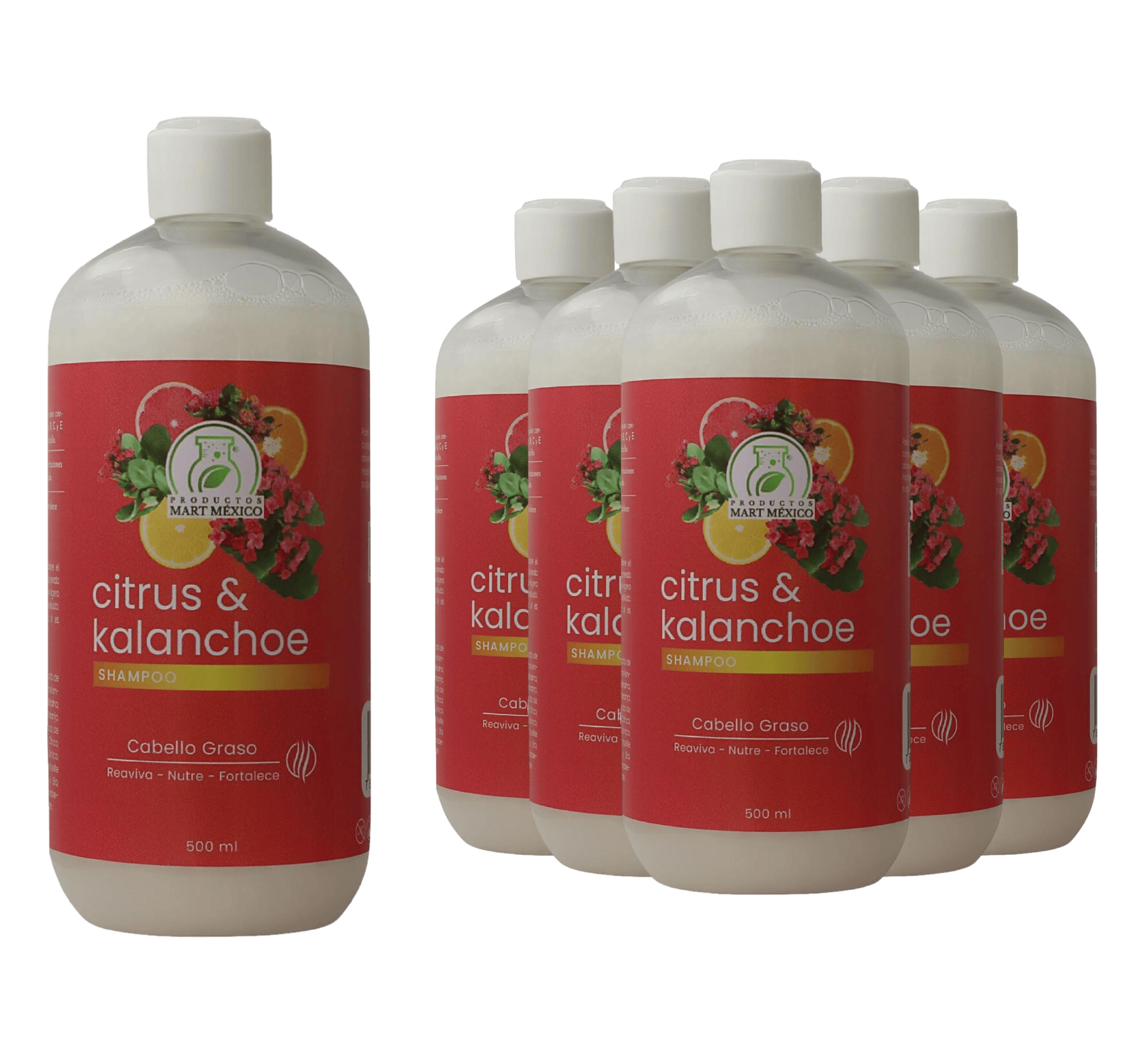 Shampoo Capilar Citrus & Kalanchoe Pack 6 Piezas
Productos Mart Mexico 500 Ml