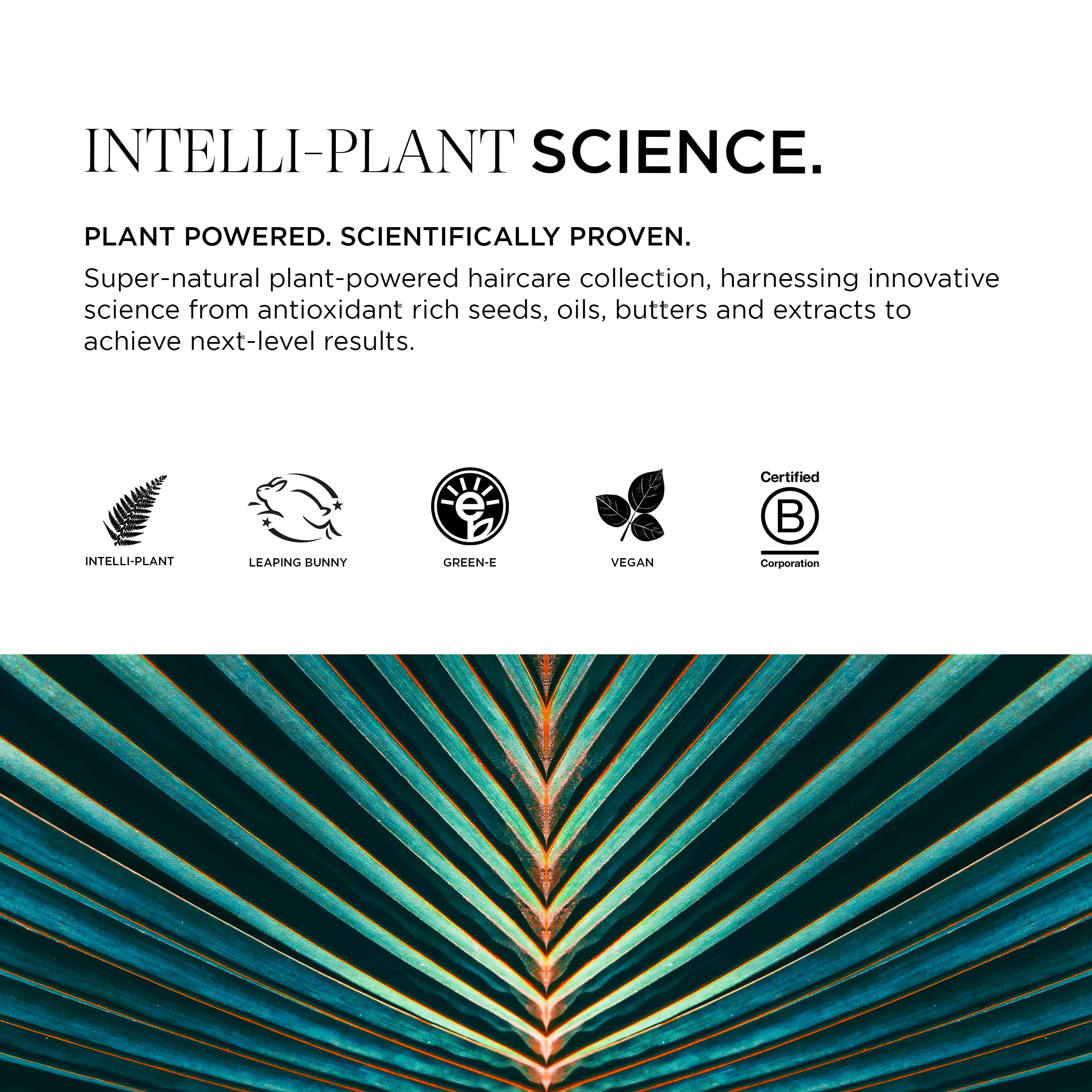 Foto 6 pulgar | Champú Intelligent Nutrients Fortifi-hidratante Capilar 250 Ml - Venta Internacional.