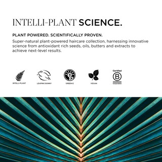 Foto 5 | Champú Intelligent Nutrients Fortifi-hidratante Capilar 250 Ml - Venta Internacional.