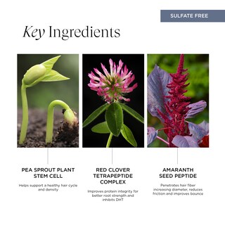 Foto 4 | Champú Intelligent Nutrients Pure Plenty 250 Ml Vegano - Venta Internacional.
