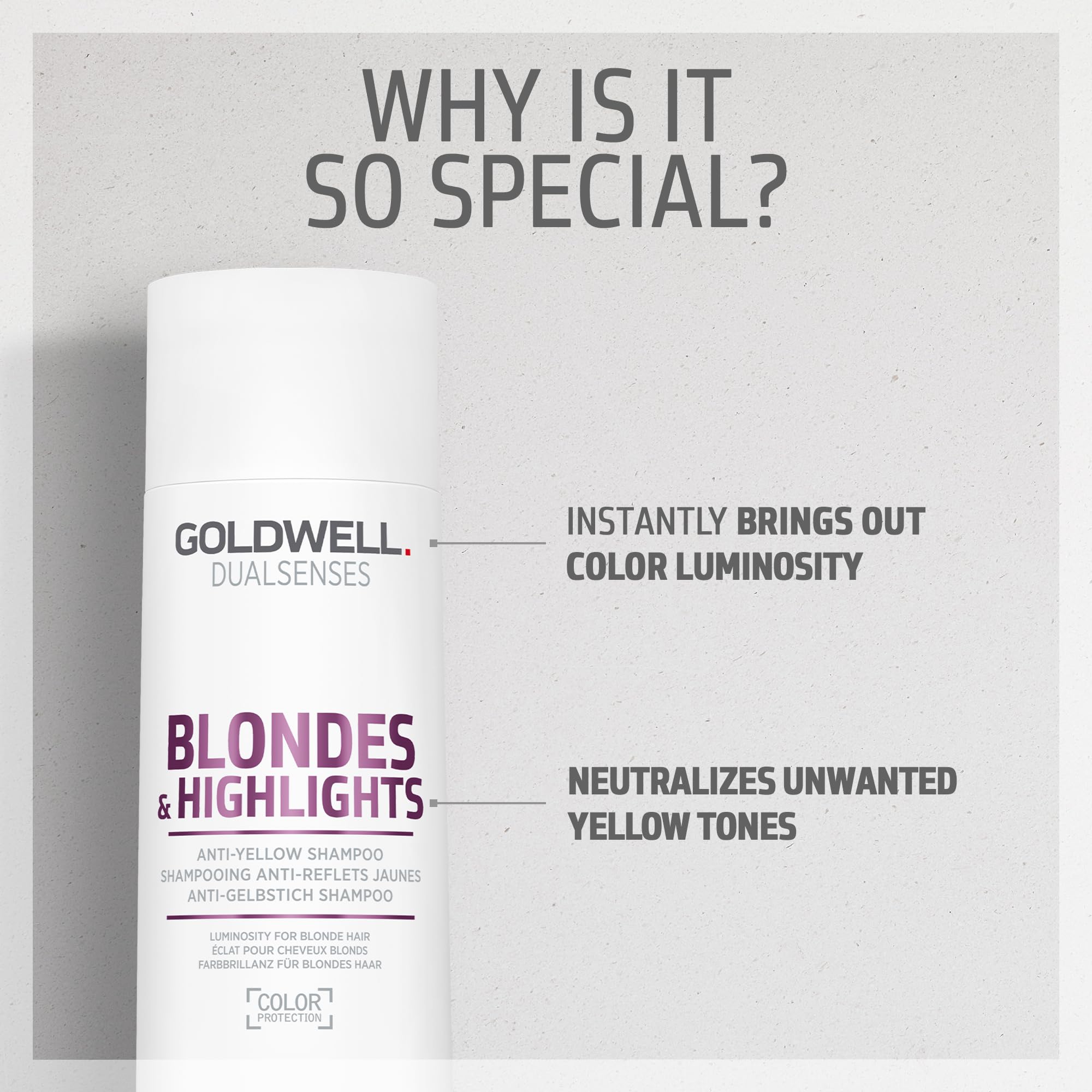 Foto 3 | Shampoo Goldwell Dualsenses Blondes & Highlights de 300 ml-Venta Internacional