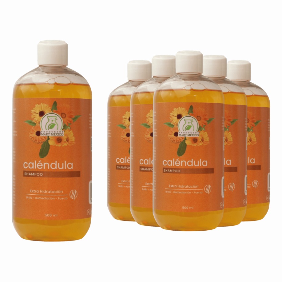 Foto 2 pulgar | Shampoo Calendula Pack 6 Piezas
Productos Mart Mexico 500 Ml