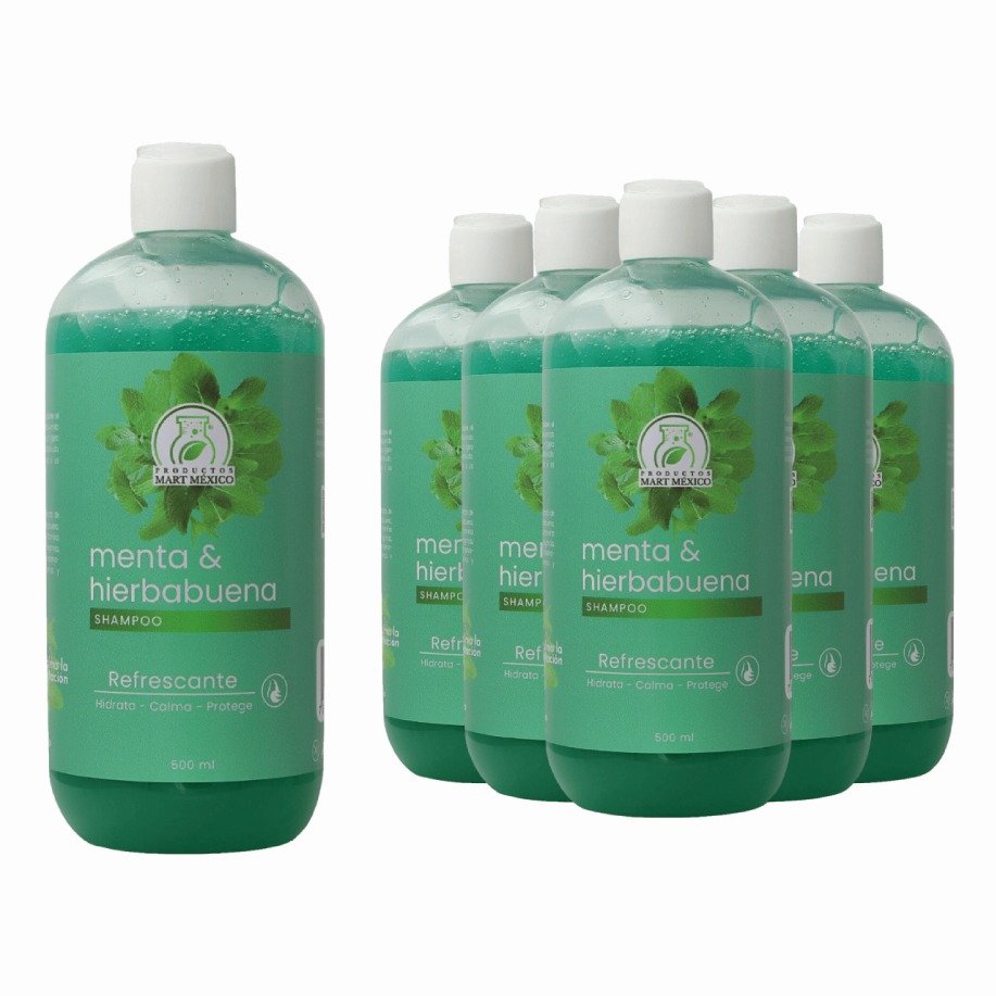 Foto 2 pulgar | Shampoo De Menta Con Hierbabuena Pack 6 Piezas
Productos Mart Mexico 500 Ml