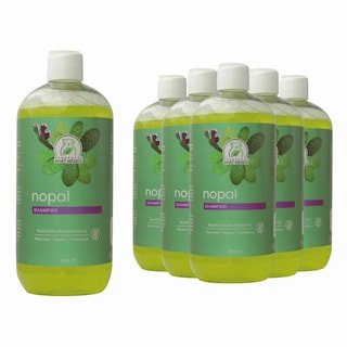 Foto 1 | Shampoo De Nopal Pack 6 Piezas
Productos Mart Mexico 500 Ml