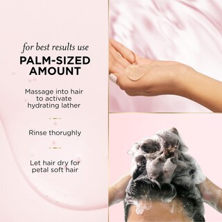 Foto 7 | Champú Y Acondicionador Pantene Nutrient Blends Miracle Moisture Boost Rose Water - Venta Internacional.