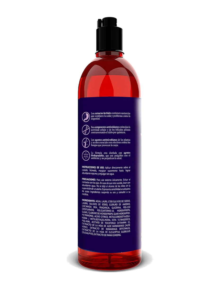 Foto 4 pulgar | Shampoo Romero + Termo Güish Gratis