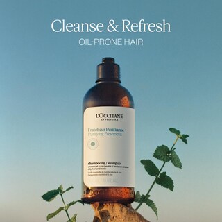 Foto 2 | Champú L'occitane Aromachologie Purifying Freshness 500 Ml - Venta Internacional.