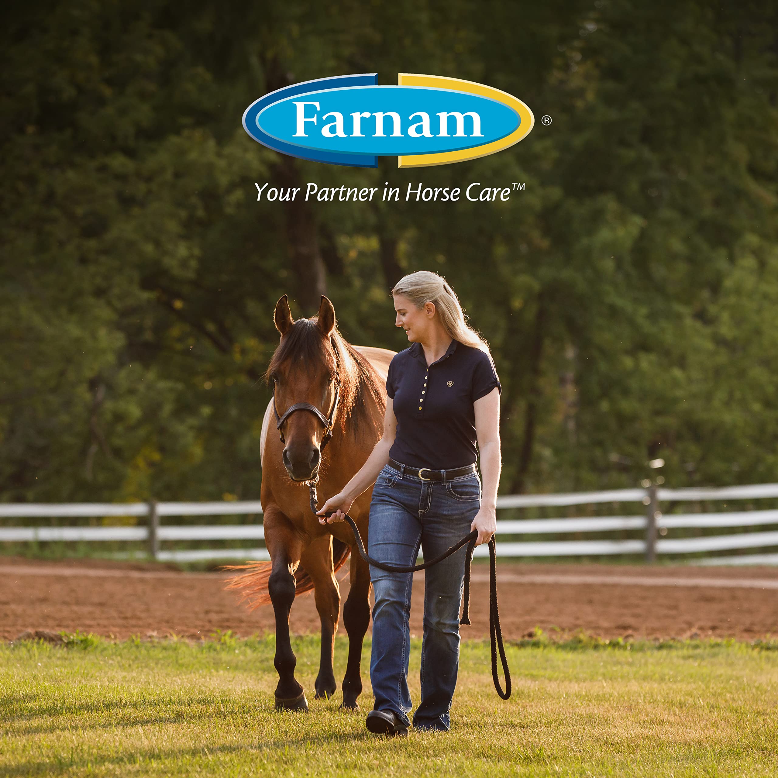 Foto 7 | Aerosol Para Moscas De Caballo Farnam Endure, Resistente Al Sudor, 450 Ml, 14 Días - Venta Internacional.