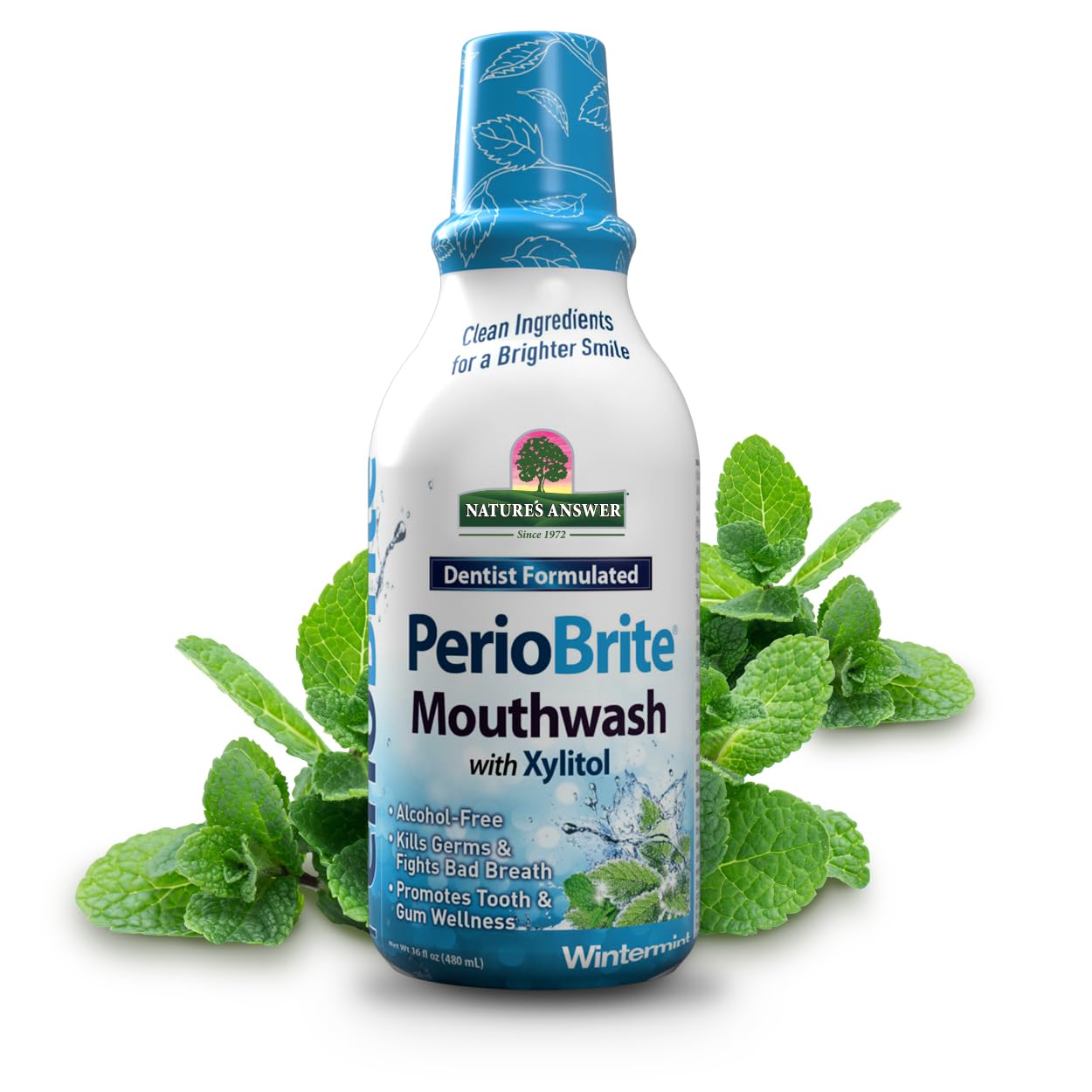 Foto 1 | Enjuague Bucal Nature's Answer Periobrite Wintermint 480 Ml (paquete De 2) - Venta Internacional.