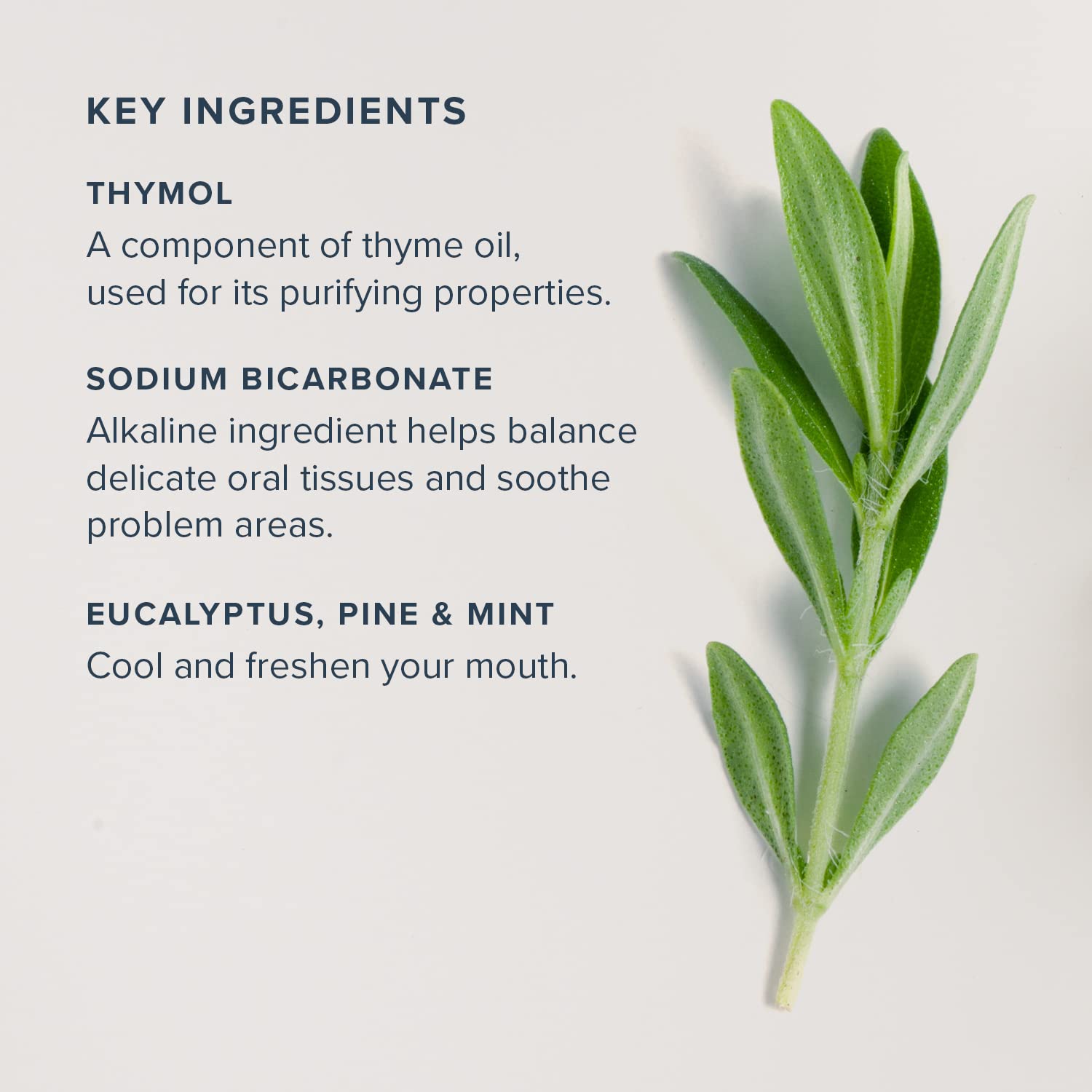 Foto 4 pulgar | Enjuague Bucal Heritage Store Alka-thyme Alkaline 480 Ml Cool Mint - Venta Internacional.