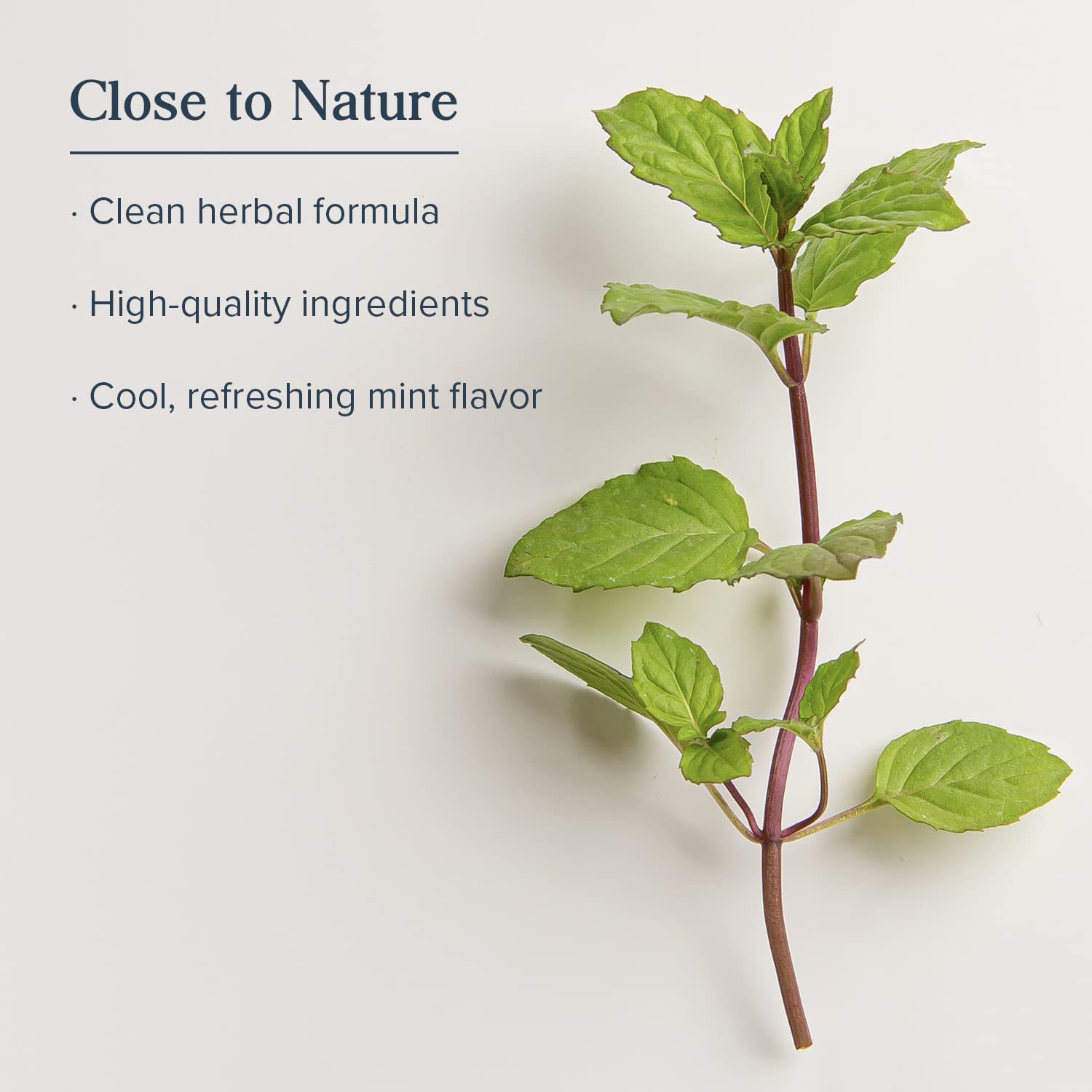 Foto 5 pulgar | Enjuague Bucal Heritage Store Alka-thyme Alkaline 480 Ml Cool Mint - Venta Internacional.