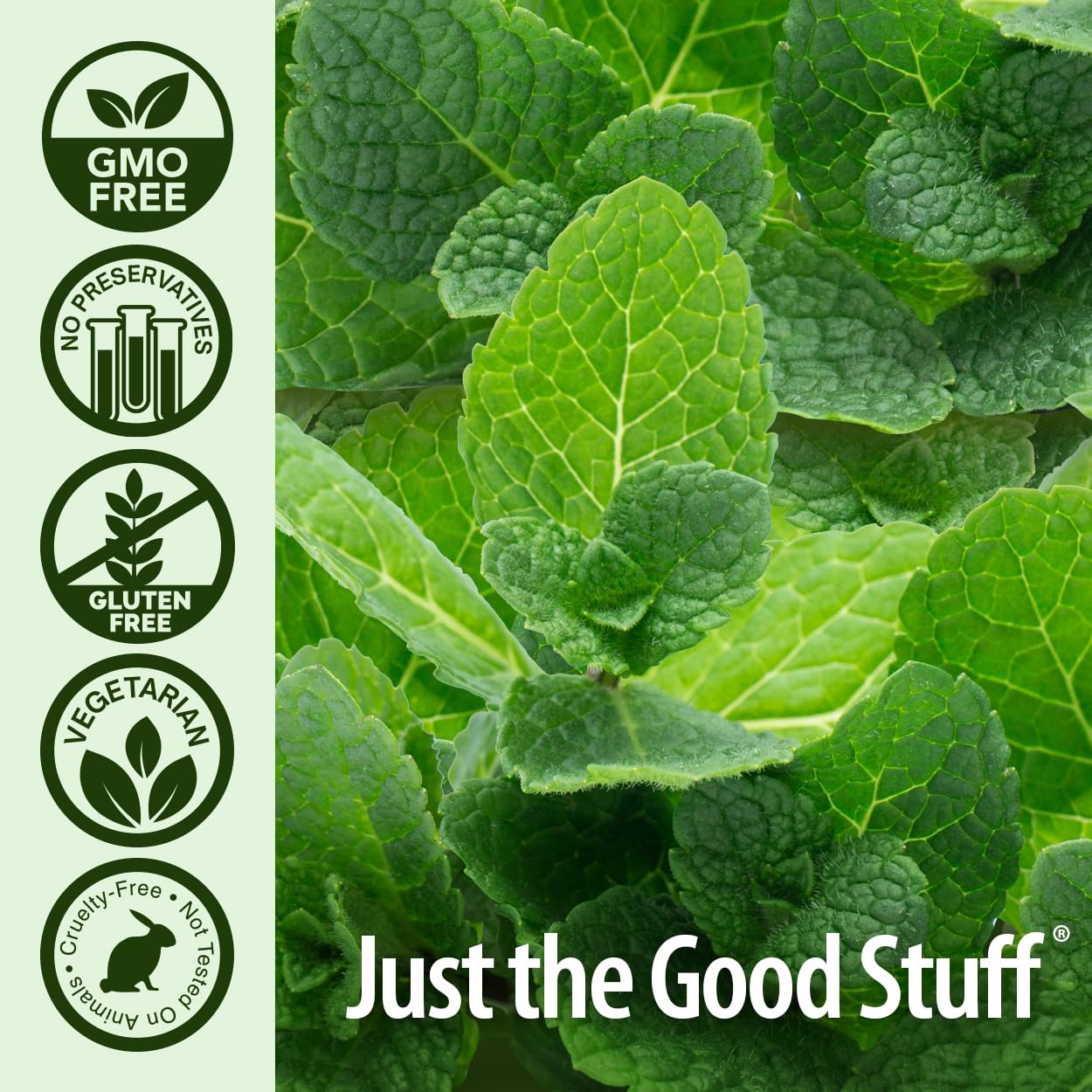 Foto 7 pulgar | Enjuague Bucal Nature's Answer Periocleanse Cool Mint 120 ml - Venta Internacional
