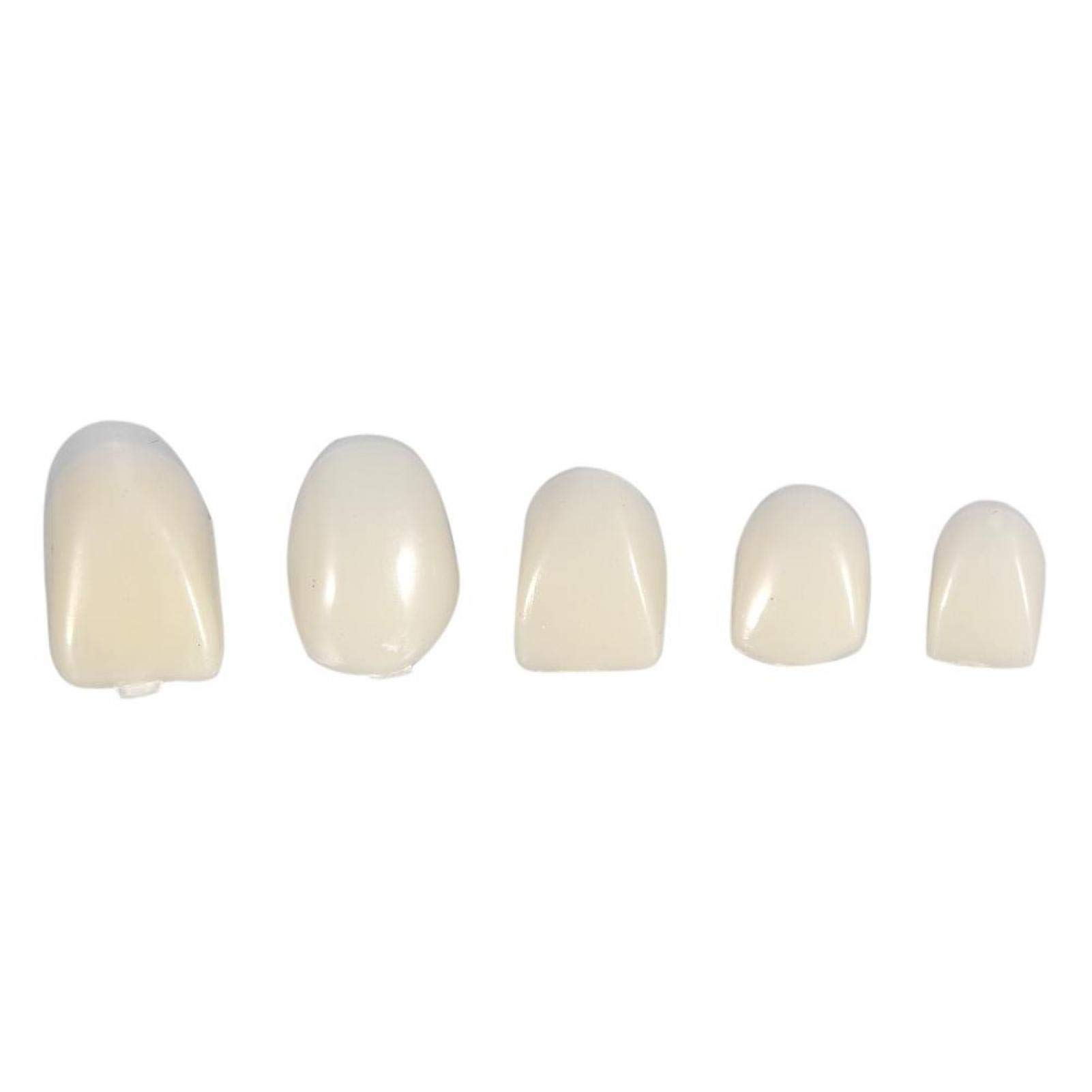Foto 6 | Corona Dental Filfeel, 50 Piezas, Resina Dental Temporal - Venta Internacional.