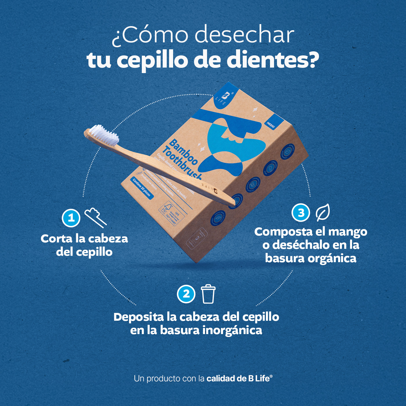 Foto 5 pulgar | Kit Con 20 Cepillos De Dientes De Bambú Para Adultos Con Cerdas Medias. B Life